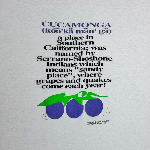 Vintage 1993 fruit of the loom made in the USA white T-shirt size large - Picture 4 of 11